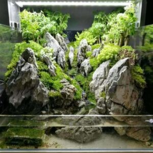 Искусственные растения